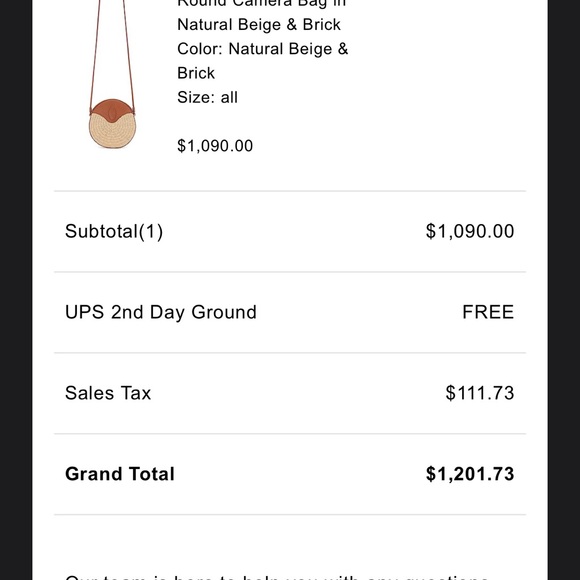 SAINT LAURENT round camera bag in rafia - Picture 4 of 6